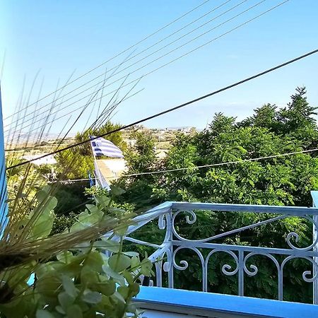 Plaka 1870 House 1&2公寓 外观 照片