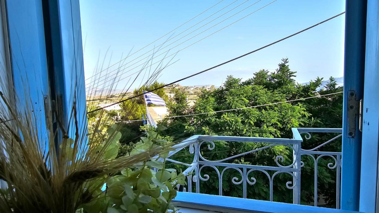 Plaka 1870 House 1&2公寓 外观 照片