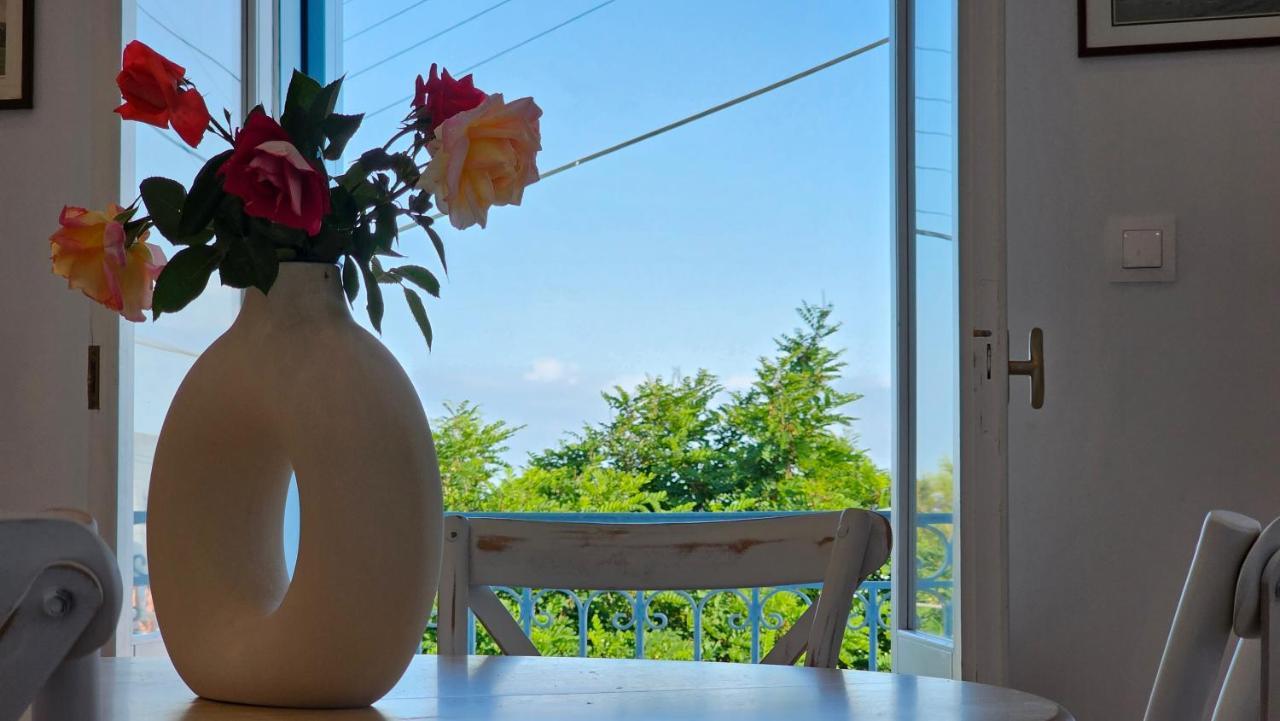 Plaka 1870 House 1&2公寓 外观 照片